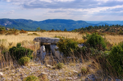 Cevennes的Dolmen de la Roque