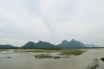美丽的湿地山