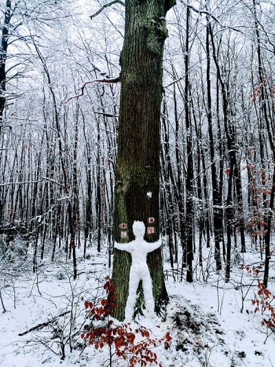 雪人抱着树