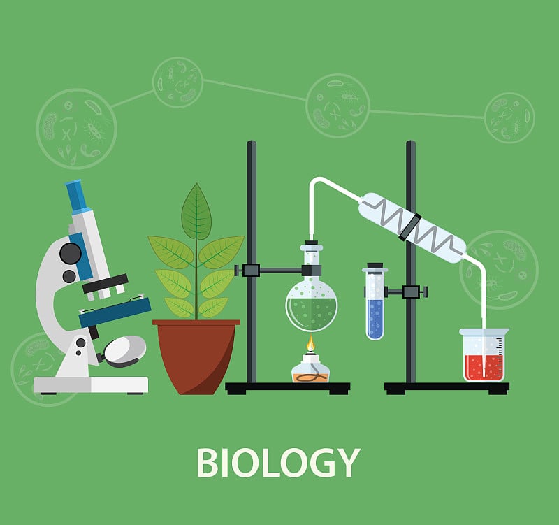 生物学实验室工作区