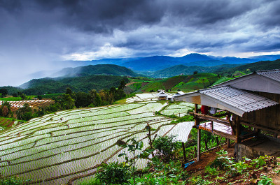 阶地稻田