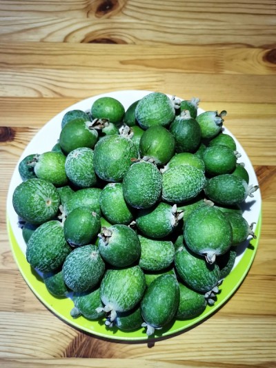 新鲜的feijoa躺在一个木背景上