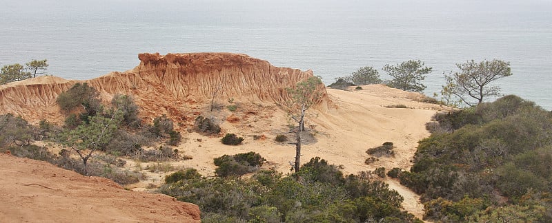 沙漠风景