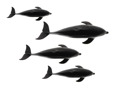 海豚