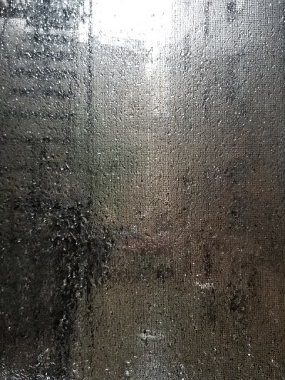 雨点映屏，绿树成荫