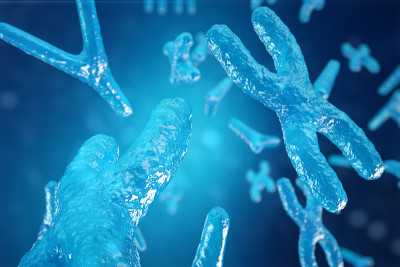 xy -染色体作为人类生物学、医学符号、基因治疗或微生物遗传学研究的一个概念