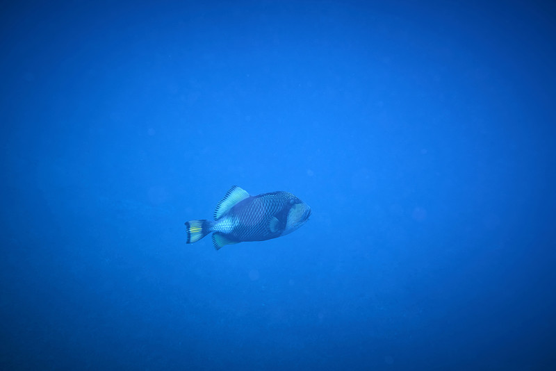 水下