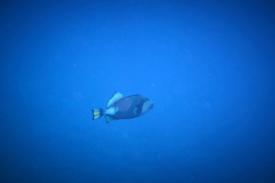 水下