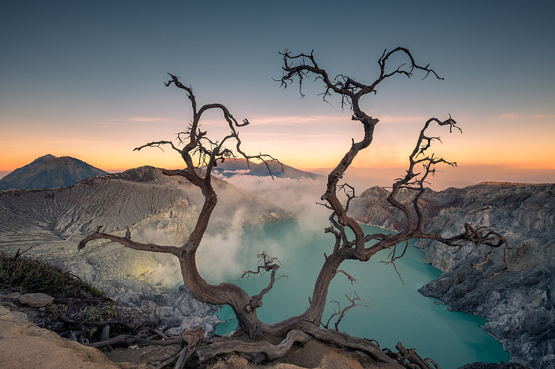 活火山上的枯树与绿松石湖在黎明