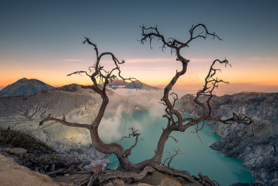 活火山上的枯树与绿松石湖在黎明