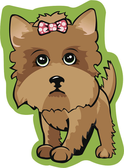 约克郡犬