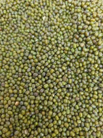 豆小扁豆