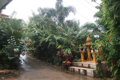 为雨后的灵魂建造的房子