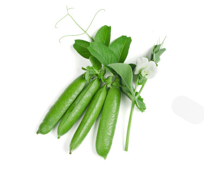 豌豆