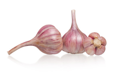大蒜鳞茎