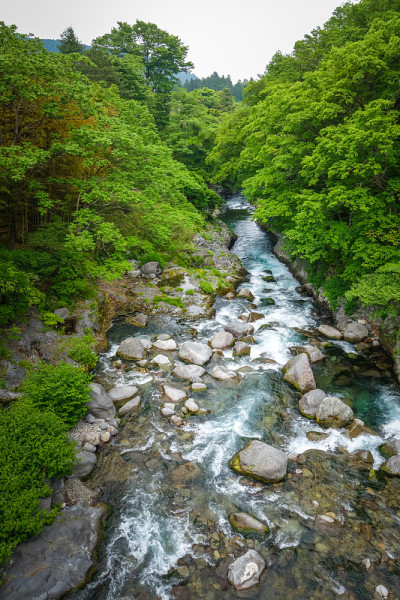 日本日航的阪神口深渊