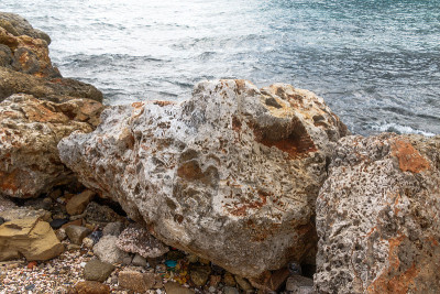 化石形成的加勒比岛Curaçao