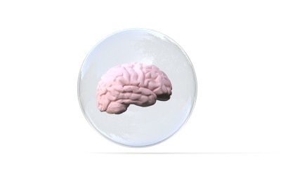 人脑图解