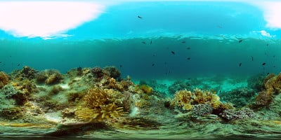 珊瑚礁的水下世界。菲律宾。虚拟现实360