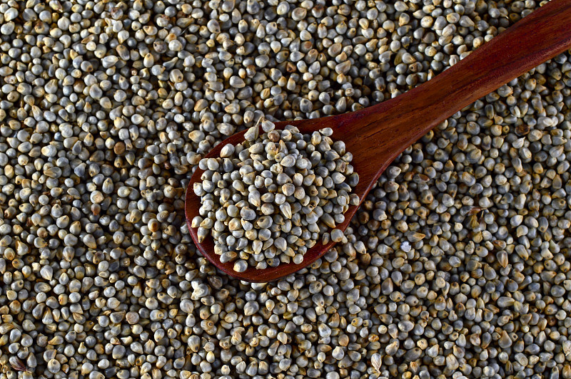 珍珠小米(Bajra)的特写，用木勺。