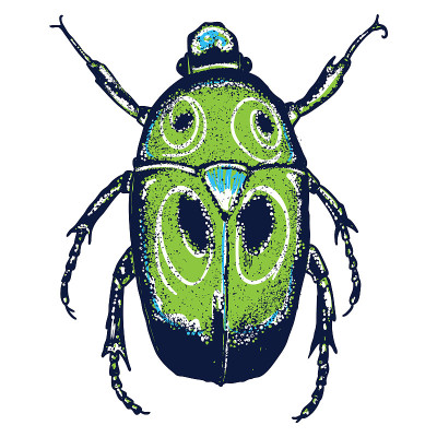 Color insects beetle bug. Colourful species in vin