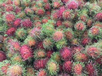 红毛丹果