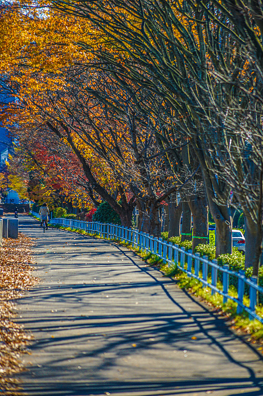 Hirose(仙台，宫城县)图片