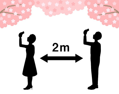男男女女在拍摄樱花