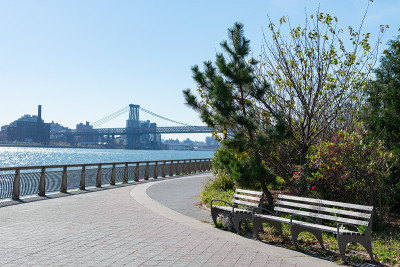 纽约东河沿岸的公园长椅，以威廉斯堡桥为背景