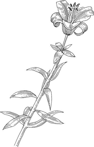 花