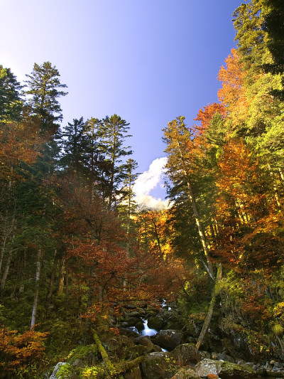 秋天