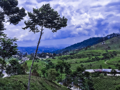 全景