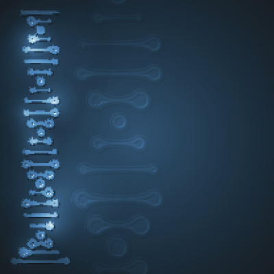 抽象DNA，未来分子
