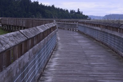 公园里的长跨度木栈道