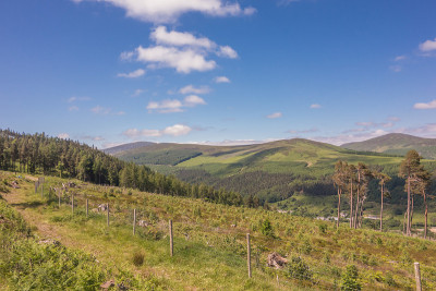 Glendalough威克洛郡,爱尔兰