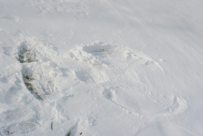 雪的天使