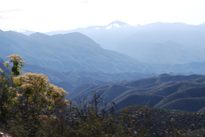 Sierra Gorda