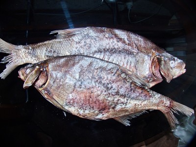 伏尔加鲷干Abramis brama)是一种很好的啤酒小吃。顶视图,特写。