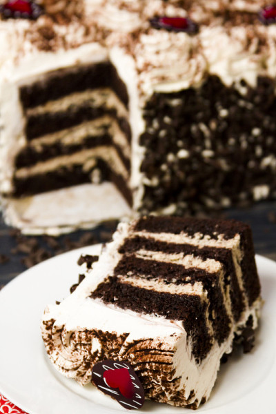 Tiramisu cake