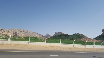阿布扎比，Alain Jebel Hafeet山