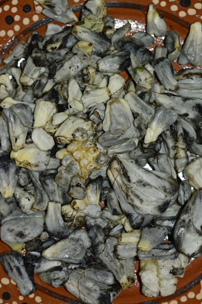 Huitlacoche，墨西哥传统食用蘑菇