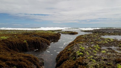 印度尼西亚Sukabumi, Minajaya海滩上的岩石、水和海浪的照片