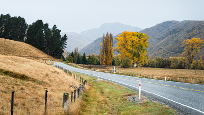 南岛坎特伯雷，蜿蜒的道路，在金秋的树木和起伏的小山之间