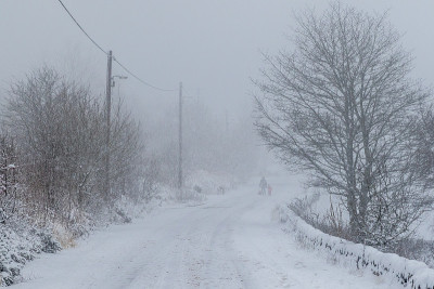 雪覆盖了道路