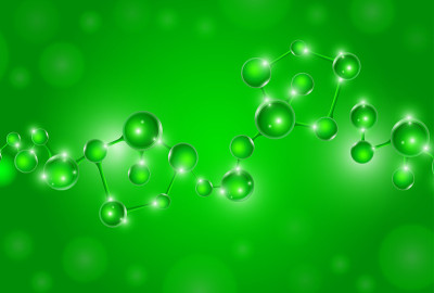 分子DNA细胞组