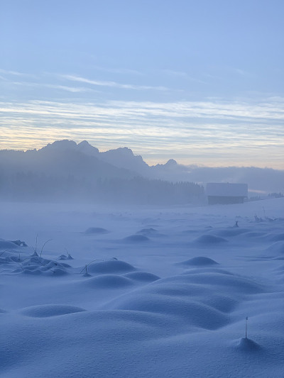 奇异的，超凡脱俗的冬季景观周围被冰雪覆盖的地面雾