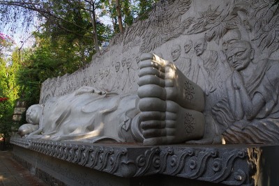 芽庄的蔡龙松