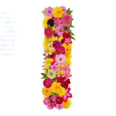 字母I以花ABC概念型为标志