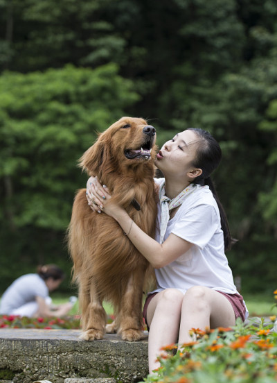 可爱的女孩和她的狗