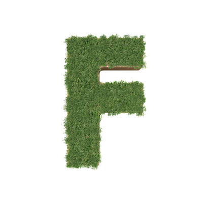 白色背景上的绿树构成的字母F。